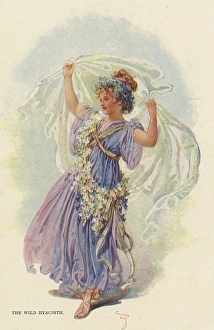 Images Dated 6th January 2016: Fairies of the Garden - The Wild Hyacinth