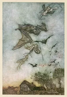 Fairies Collection: Fairies Hunt Bats