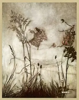 Kensington Prints: Fairies, Kensington Gdns