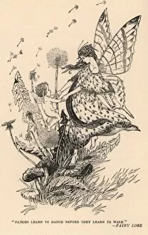 Images Dated 18th July 2011: Fairies learn to dance