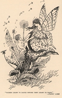 Images Dated 18th July 2011: Fairies learn to dance