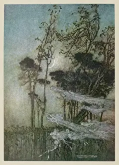 Moon Prints: Fairies at the New Moon