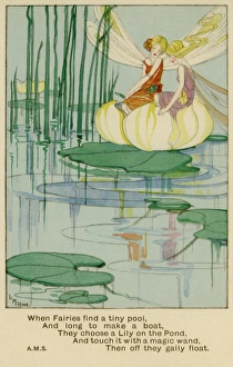 Lily Gallery: Fairies at a pool