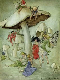 Fairy Collection: Fairies and toadstools
