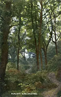 Fairlight Prints: Fairlight Glen, Hastings, Sussex