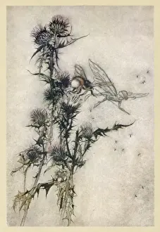 Rackham Prints: Fairy and Bee