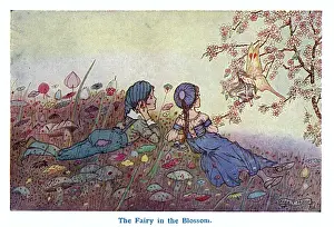 Toadstool Prints: The Fairy in the Blossom