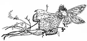 Fyleman Prints: Fairy on a branch