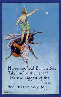 Fairy on a bumblebee