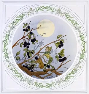Moon Light Collection: Fairy collects berries in the evening light