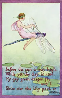 Fairy on a dragonfly