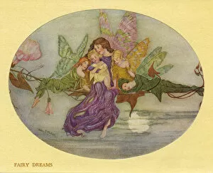 Images Dated 6th January 2016: Fairy Dreams by Hilda T Miller
