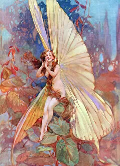 Images Dated 24th May 2016: The Fairy of Flight by William Barribal