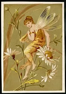 Fairies Gallery: Fairy on Flower