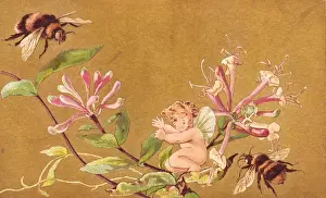 Honeysuckle Prints: Fairy with flowers and bees on a greetings card