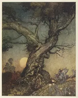 Rackham Prints: FAIRY FOLK