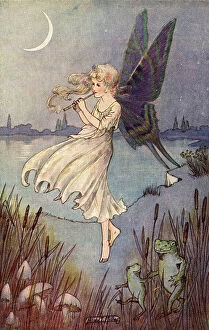 Frogs Collection: Fairy and Frogs, by Hilda T Miller