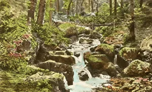 Glen Prints: Fairy Glen, Dwygyfylchi, Penmaenmawr