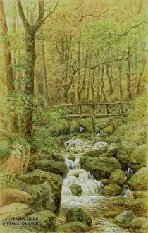 Cascade Prints: Fairy Glen, near Penmaenmawr, Clwyd, North Wales