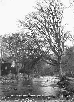 The Fairy Glen, Rostrevor