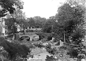 The Fairy Glen, Rostrevor