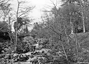 Fairy Glen, Rostrevor