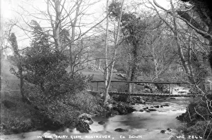 In the Fairy Glen, Rostrevor, Co. Down