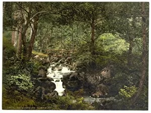Water Fall Collection: Fairy Glen Waterfall, Penmaenmawr, Wales