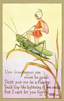 Fairy on a grasshopper