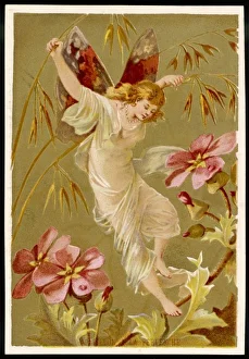 Fairies Gallery: Fairy Holds Grasses