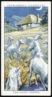 Fairy Horses
