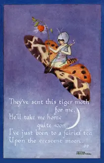 Fairy on a moth
