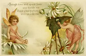 Fairyland Prints: A fairy being photographed