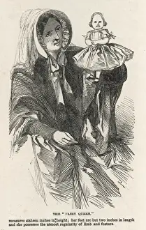 The Fairy Queen