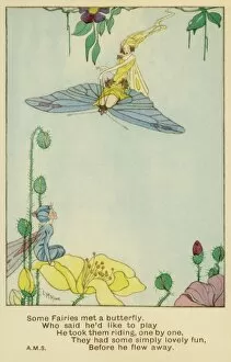 Delicate Gallery: Fairy riding on a butterfly