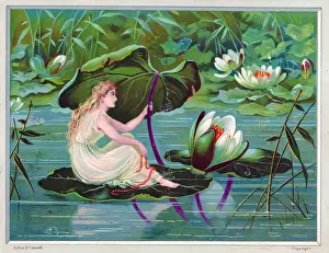 Sheltering Prints: Fairy sheltering under lily leaf on a greetings card