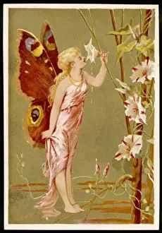 Smelling Prints: Fairy Smelling a Flower