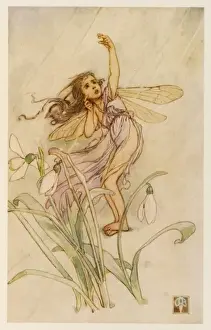 Grow Prints: Fairy Tears