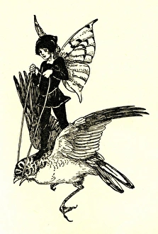Images Dated 22nd March 2012: A fairy travels through the air on a bird