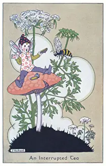 Fairyland