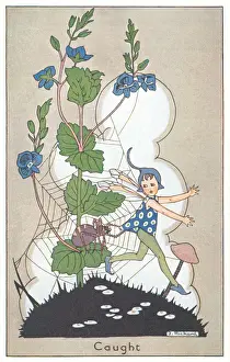 Fairyland