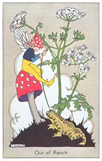 Fairyland
