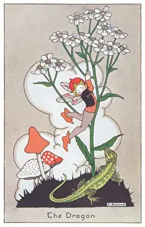 Fairyland