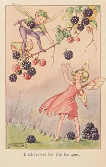 Gathering Prints: Fairyland