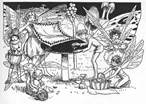 Fairyland