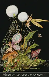 Fairyland fantasy