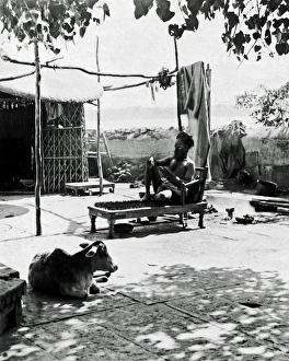 Patio Gallery: Fakir on bed of nails, India