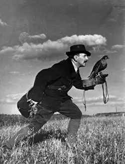 Encouraging Prints: Falconry : Advancing