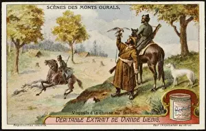 Falcons Prints: Falconry in Russia