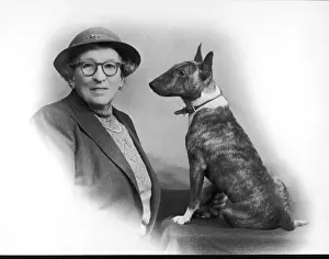 Fall / Bull Terrier / Owner